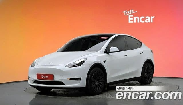 Tesla модель Y Long Range, 2021 1