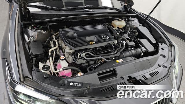 Lexus ES300h 7세대 Executive, 2022 6