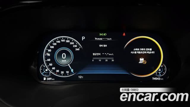 Hyundai Palisade Calligraphy, 2021 8