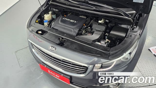 Kia All New Carnival Noblesse, 2015 6