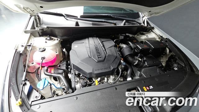 Kia Sportage 5세대 Signature, 2022 6