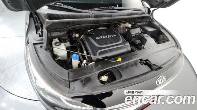 Kia All New Carnival Noblesse, 2017 6