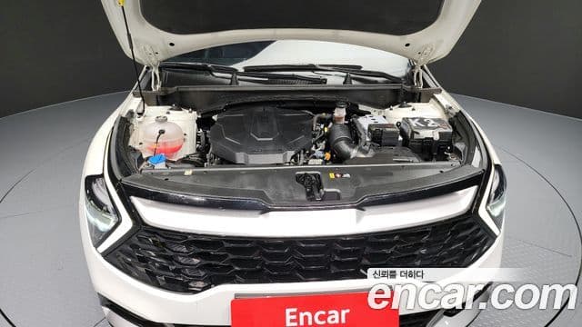 Kia Sportage 5세대 Prestige, 2023 6