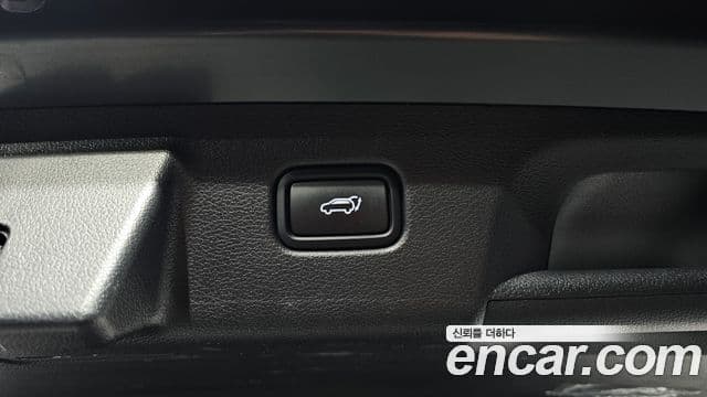 Hyundai Palisade Prestige, 2021 20