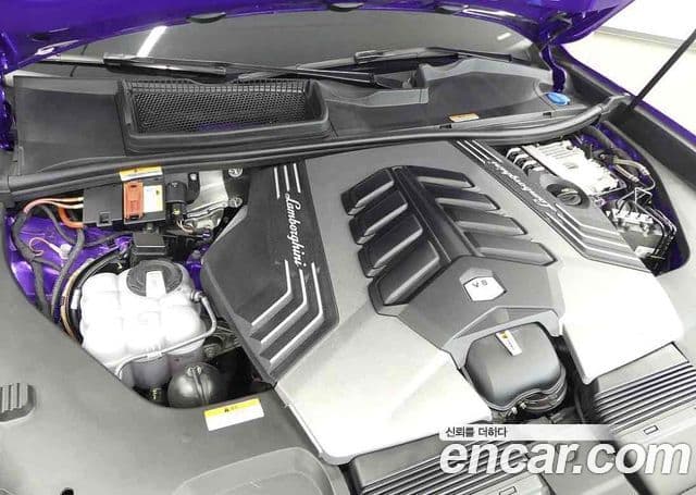 Lamborghini Urus 4.0 V8, 2022 все фото