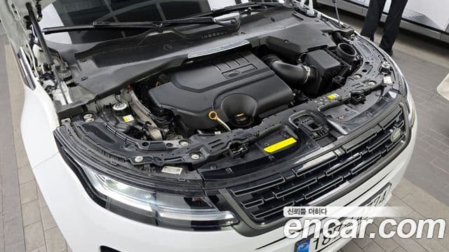 Land Rover Range Rover Evoque 2세대 P250 Dynamic SE, 2024 6