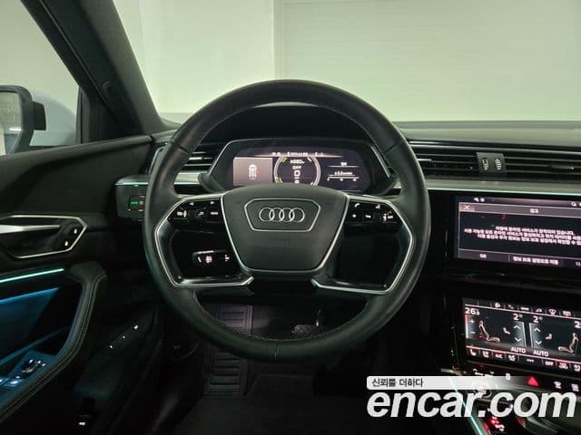 Audi Q8 e-Tron (GE), 2024 19