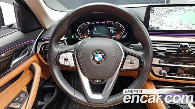 BMW 5시리즈 (G30) Luxury, 2021 13