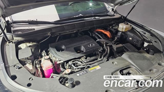 Lexus RX350h 5세대 Luxury, 2023 6