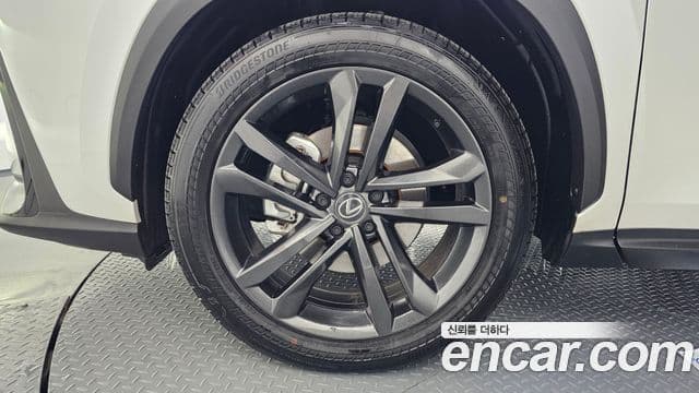 Lexus NX350h 2세대 Premium, 2025 все фото