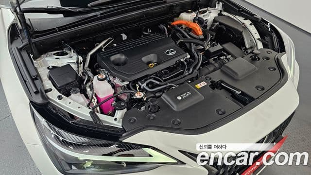 Lexus NX350h 2세대 Premium, 2025 6
