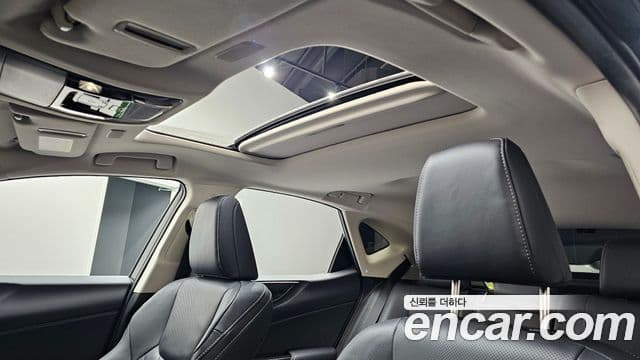 Lexus NX350h 2세대 Premium, 2025 19