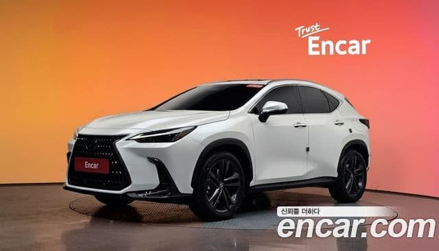 Lexus NX350h 2세대 Premium, 2025 1