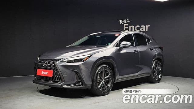 Lexus NX350h 2세대 Premium, 2025 1