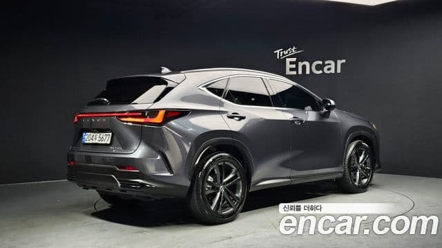 Lexus NX350h 2세대 Premium, 2025 2