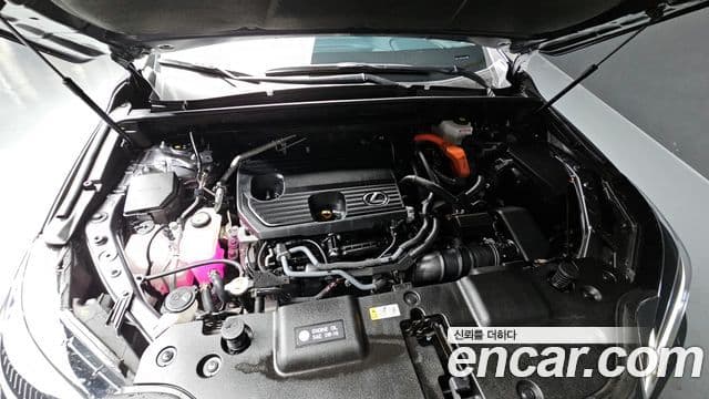 Lexus NX350h 2세대 Premium, 2025 6