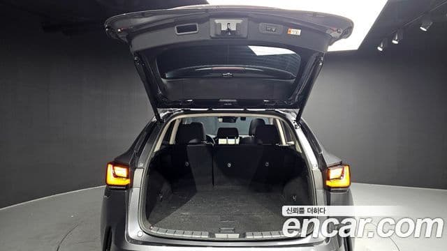 Lexus NX350h 2세대 Premium, 2025 20