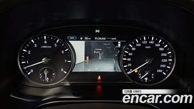 Kia The / новый K9 PlatinumⅡ, 2019 8