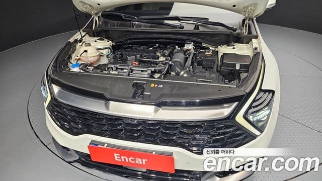 Kia Sportage 5세대 Signature, 2022 6