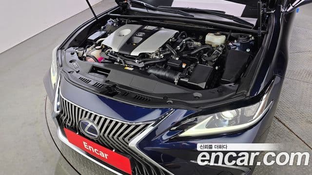 Lexus ES300h 7세대 Luxury Plus, 2019 6