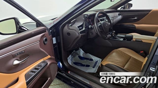 Lexus ES300h 7세대 Luxury Plus, 2019 10