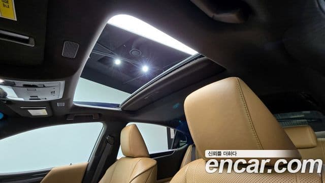 Lexus ES300h 7세대 Luxury Plus, 2019 20