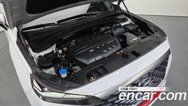 Hyundai Santa Fe TM Inspiration, 2019 6