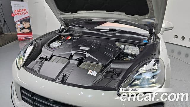 Porsche Cayenne (PO536) 3.0 купе Platinum Edition, 2022 6