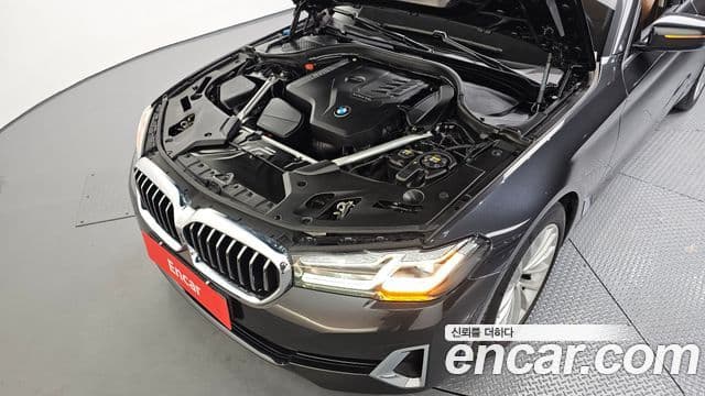 BMW 5시리즈 (G30) Luxury, 2021 6