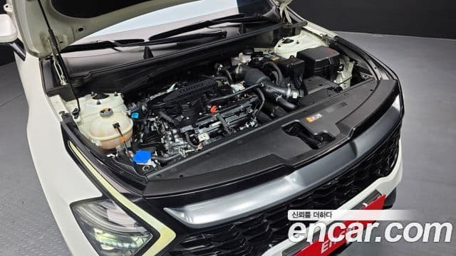 Kia Sportage 5세대 Signature, 2022 6