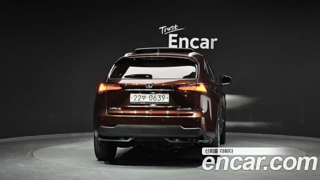 Lexus NX300h Executive, 2016 4