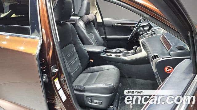 Lexus NX300h Executive, 2016 10