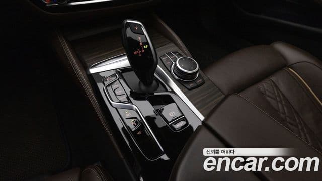 BMW 5시리즈 (G30) Luxury, 2022 9