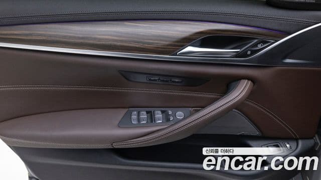 BMW 5시리즈 (G30) Luxury, 2022 13