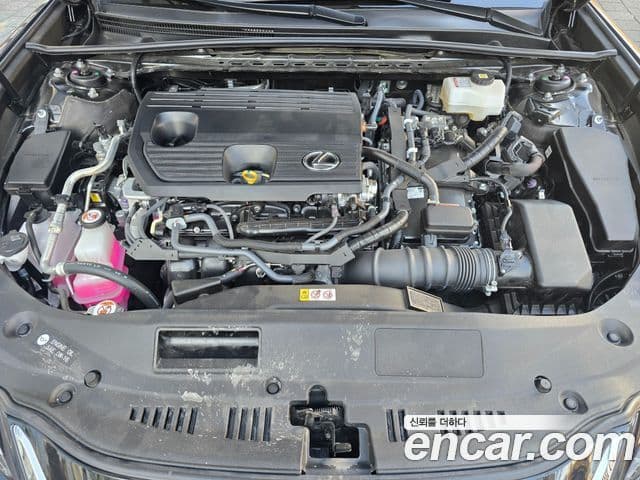 Lexus ES300h 7세대 Executive, 2025 6