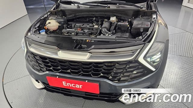 Kia Sportage 5세대 Noblesse, 2023 6