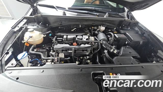 Kia Sportage 5세대 Noblesse, 2023 6