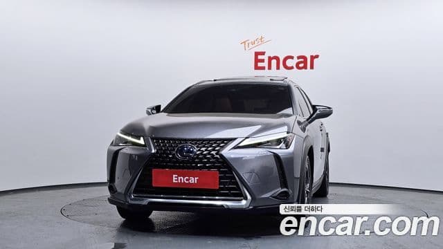 Lexus UX250h, 2019 3