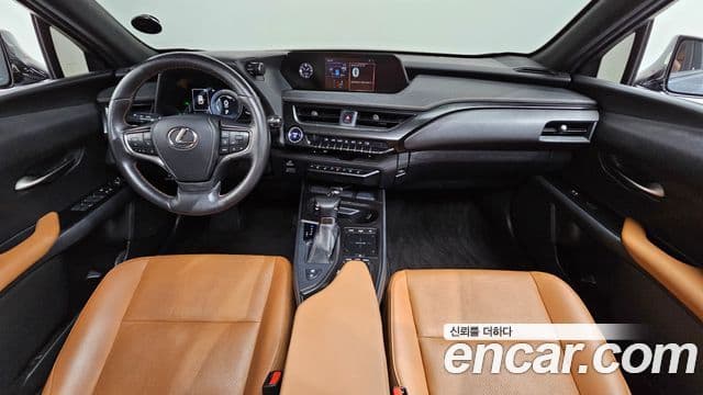 Lexus UX250h, 2019 7