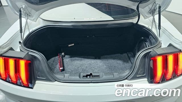 Ford Mustang купе, 2018 20