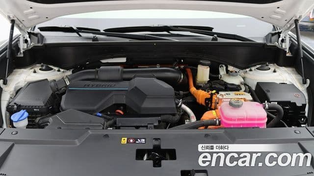 Hyundai Santa Fe (MX5) Calligraphy, 2024 9