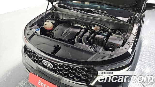 Kia Sorento 4세대 Gravity, 2021 6