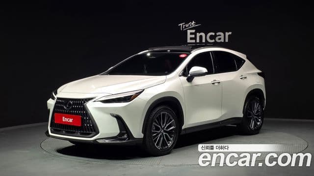 Lexus NX350h 2세대 Luxury, 2025 1