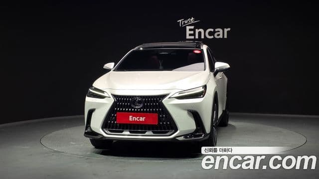 Lexus NX350h 2세대 Luxury, 2025 3