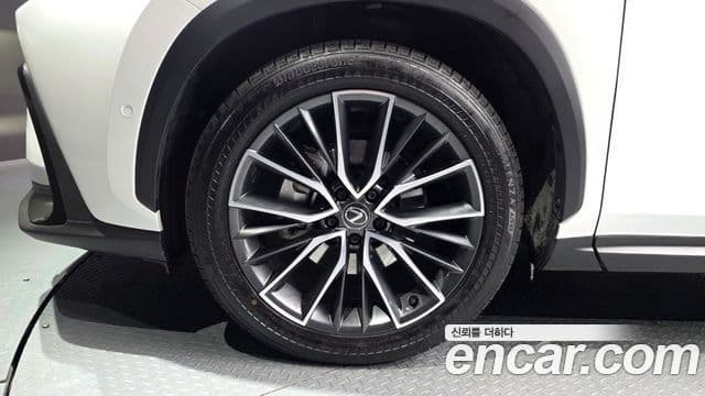 Lexus NX350h 2세대 Luxury, 2025 все фото