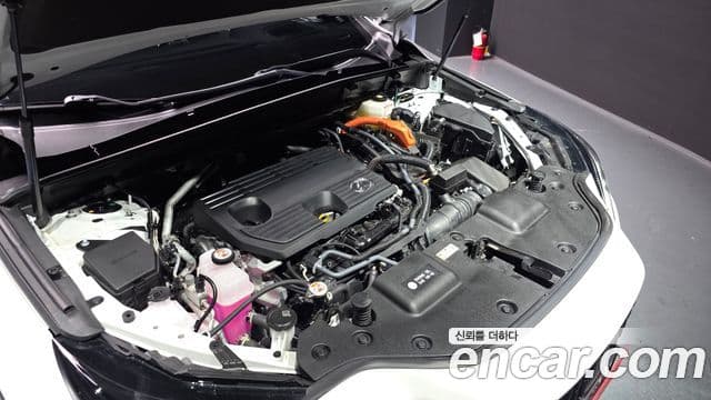Lexus NX350h 2세대 Luxury, 2025 6