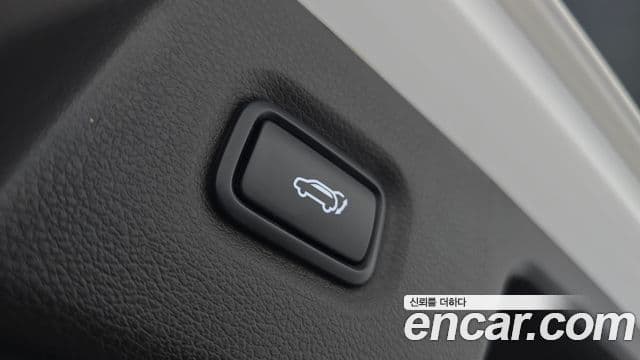 Hyundai Santa Fe TM Exclusive Special, 2019 20