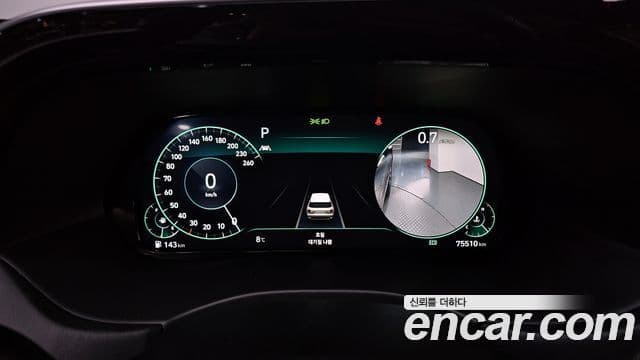 Hyundai Palisade Prestige, 2021 8