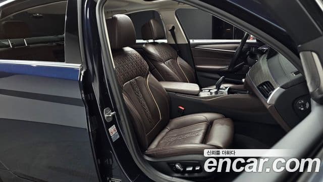 BMW 5시리즈 (G30) Luxury, 2020 10