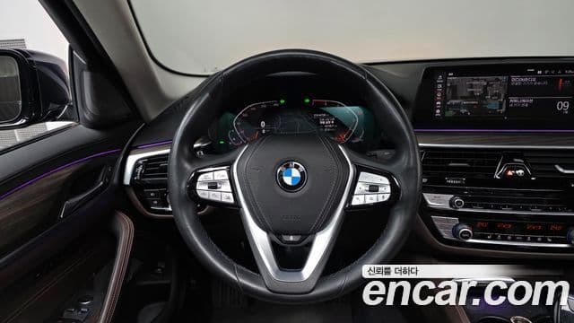 BMW 5시리즈 (G30) Luxury, 2020 13